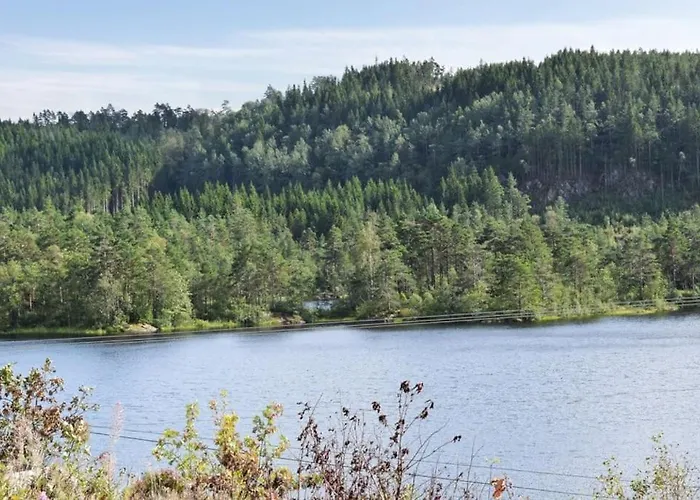 Flott - øyslebø * Sjaevesland